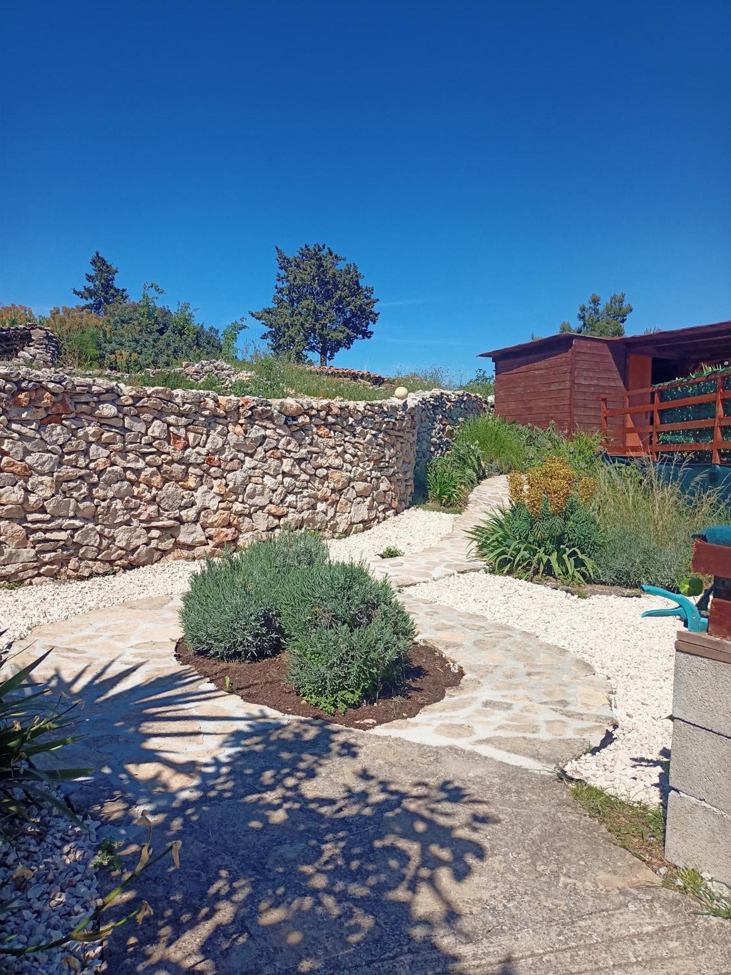 Apartments Ruza Dragove Dugi Otok Екстериор снимка