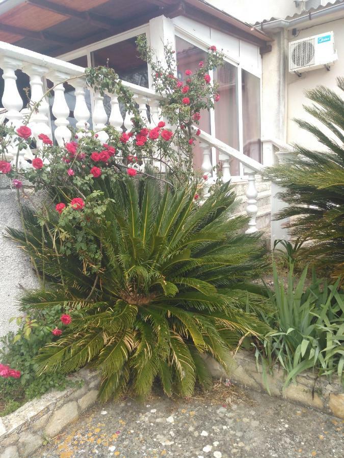 Apartments Ruza Dragove Dugi Otok Екстериор снимка